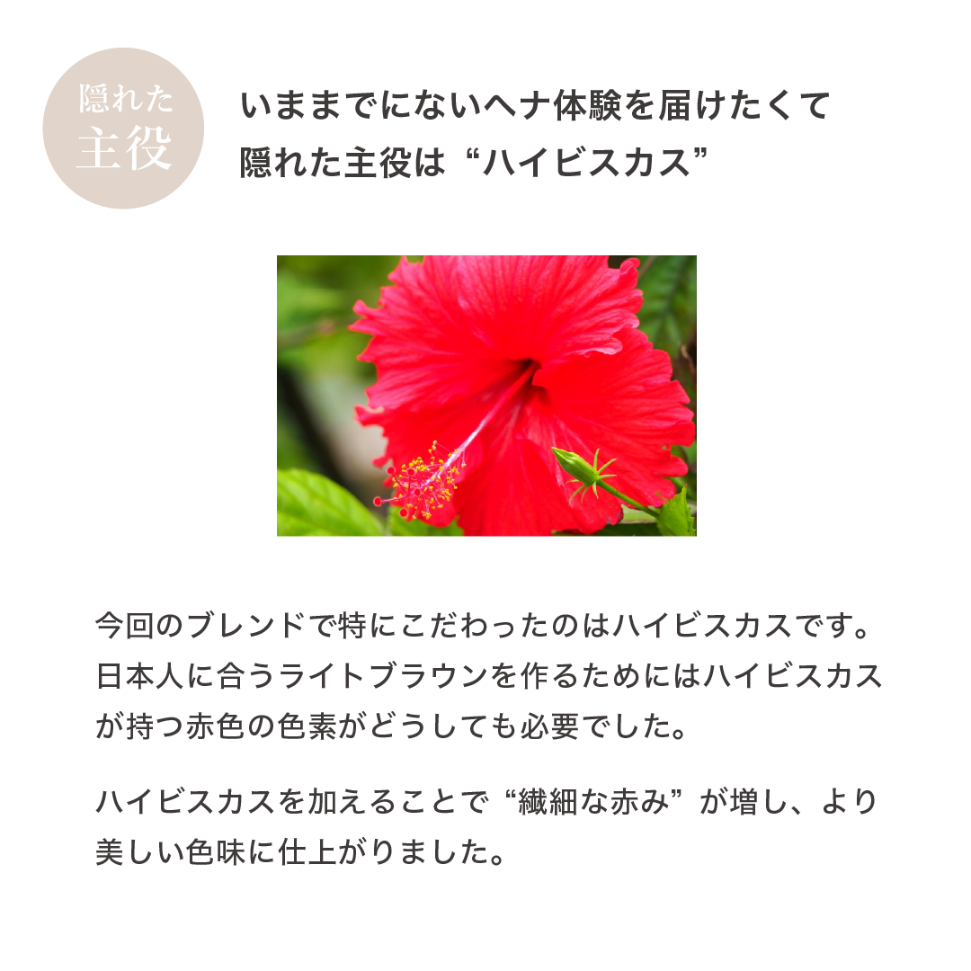 ハラールヘナPLUS+ オーガニックライトブラウン｜ハラールヘナのOSI